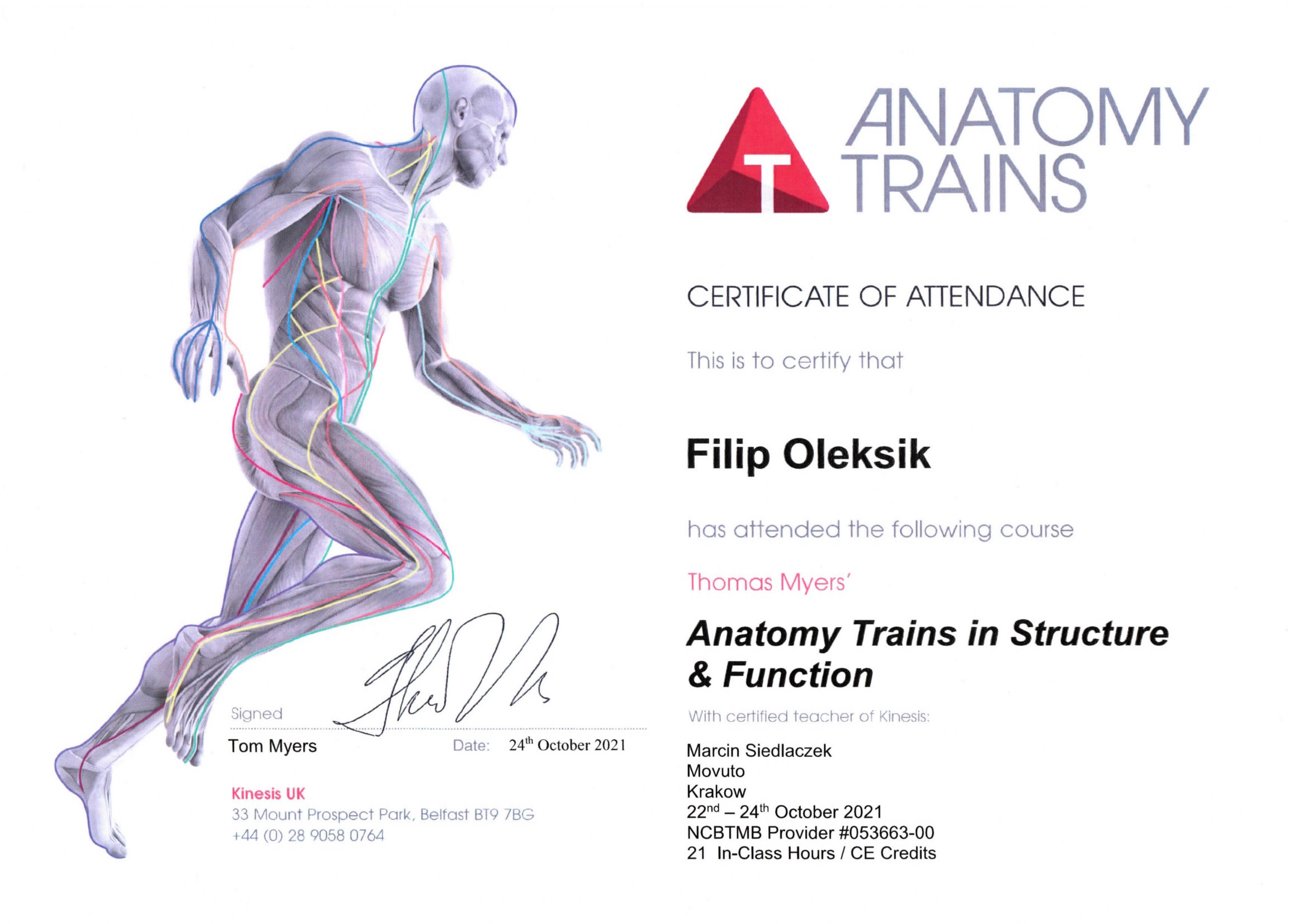Anatomy Trains in Structure & Function