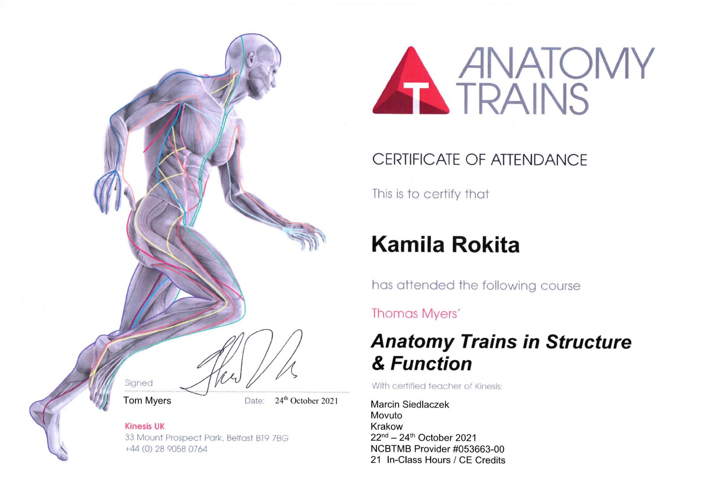 Anatomy Trains in Structure & Function